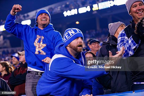 Kentucky Wildcatst fan is seen during the game against the Mississippi State Bulldogs at Commonwealth Stadium on October 22, 2016 in Lexington,...