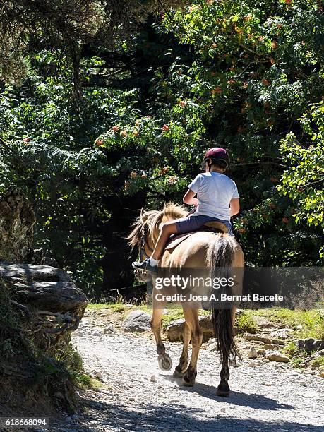 child astride walking along a way of high mountain surrounded with trees - hautes pyrénées stock pictures, royalty-free photos & images