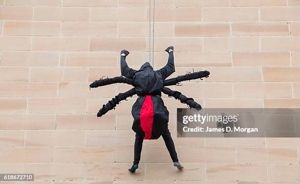 An abseiling spider descends the outside wall at the Australian Museum on October 28, 2016 in Sydney, Australia. The event was to celebrate the...