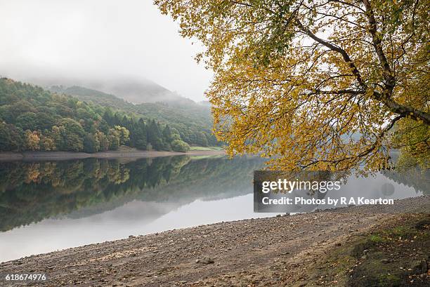 autumn in the derwent valley, peak district, england - overhangend stockfoto's en -beelden