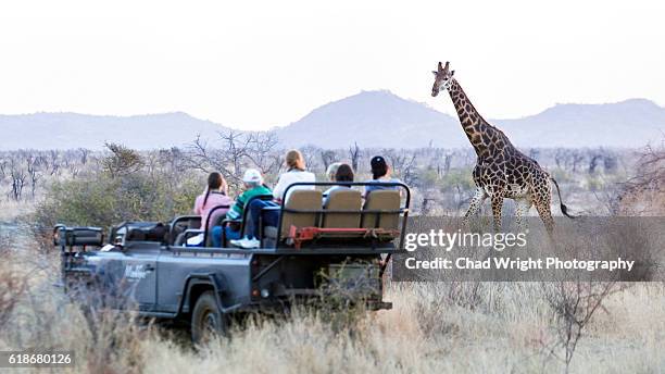 safari vehicle with tourists taking pictures of wild africa giraffe - südafrika safari stock-fotos und bilder