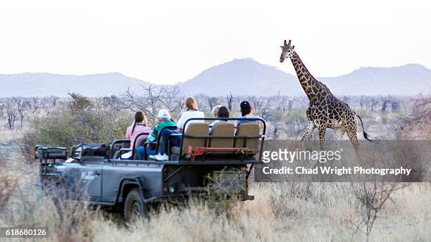 safari vehicle with tourists taking pictures of wild africa giraffe - safari stockfoto's en -beelden