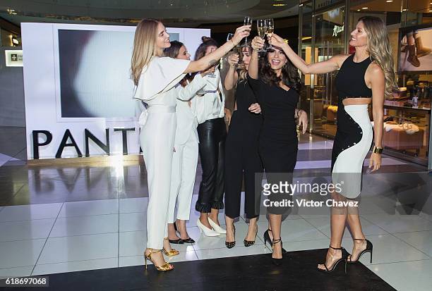 Pantene ambassadresses Chiara Ferragni, Paulina Goto, Michelle Salas, Pamela Allier, Ana Brenda Contreras and Gisele Bundchen make a toast during the...