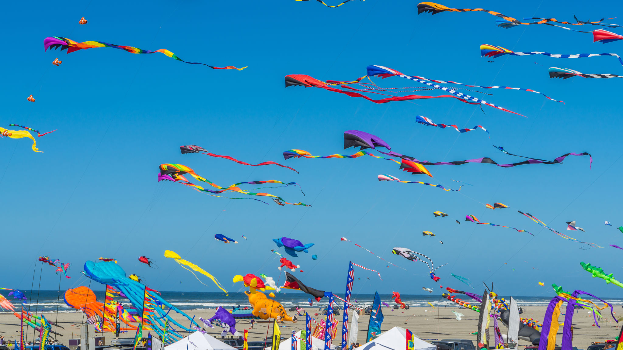 kite festival