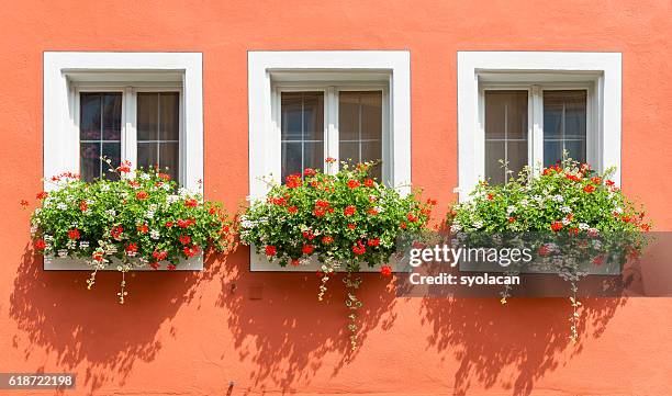 beautiful windows with flowers from bavaria - syolacan 個照片及圖片檔