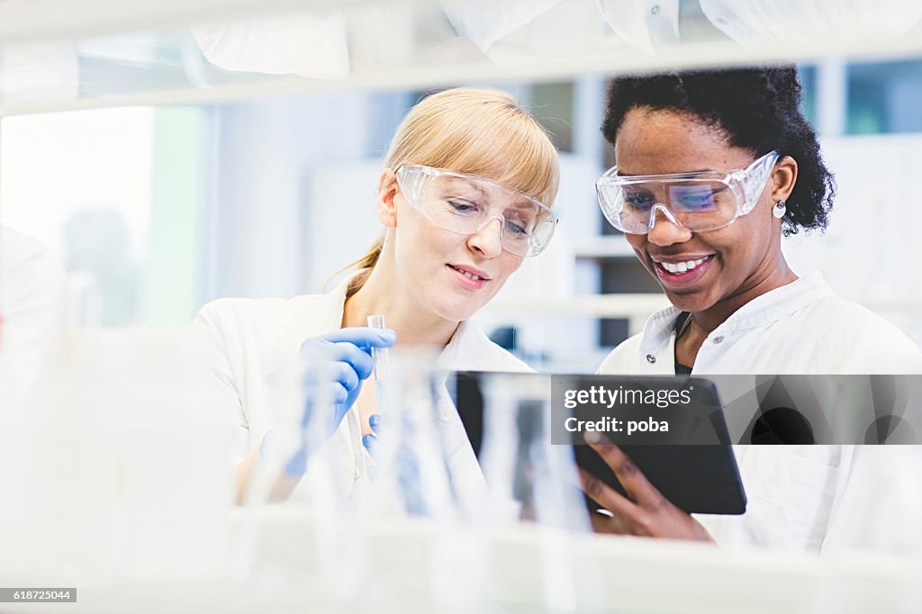 Científicos que trabajan juntos en laboratorio