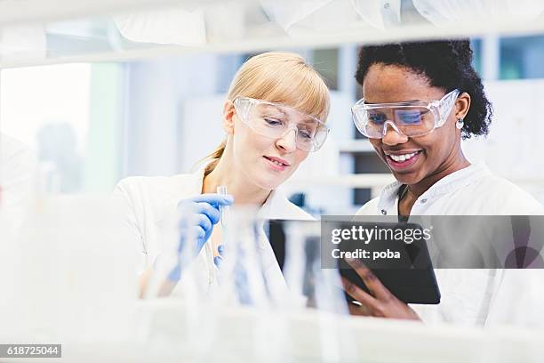 scientists working together in lab - biologist computer stock pictures, royalty-free photos & images
