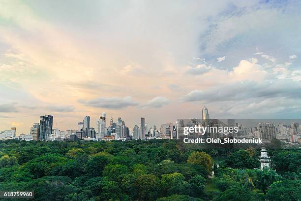 cidade de bangkok. parque lumpini - província de bangkok - fotografias e filmes do acervo