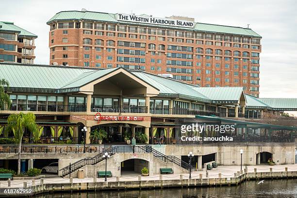 westin hotel and sushi bar in tampa, florida, usa - tampa food stock pictures, royalty-free photos & images