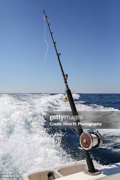 fishing day - fishing rod stock pictures, royalty-free photos & images