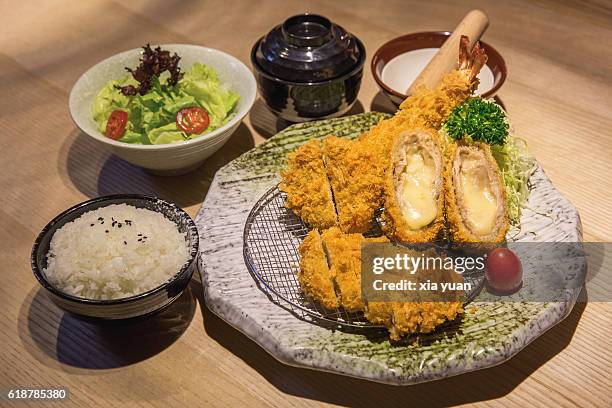 high angle view of tonkatsu with rice served on table - tonkatsu - fotografias e filmes do acervo