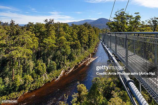 view of huon river and the cantilever bridge on the tahune forest airwalk, huon valley, southern tasmania, australia - hobart tasmania stock pictures, royalty-free photos & images