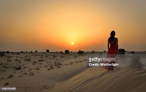 asian young woman in desert - hot arabian women stock pictures, royalty-free photos & images