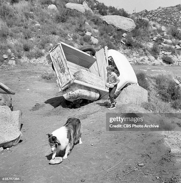 Jon Provost with Lassie in the CBS television show, Lassie episode, Lassie to the Rescue. June Lockhart is in the truck. Image dated June 25, 1963....