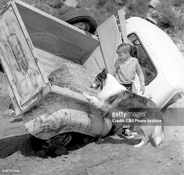 Jon Provost with Lassie in the CBS television show, Lassie episode, Lassie to the Rescue. June Lockhart is in the truck. Image dated June 25, 1963....