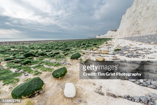 The Seven Sisters Chalk Cliffs And Beach High-Res Stock Photo - Getty ...