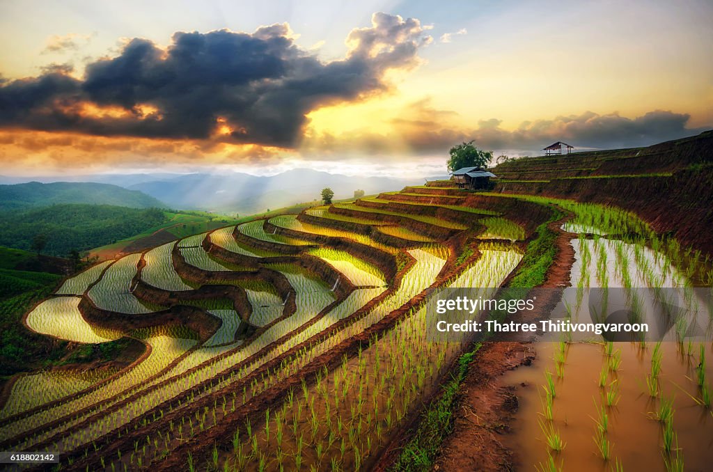 Terraced Paddy Field in Mae-Jam Village , Chaingmai Province , Thailand