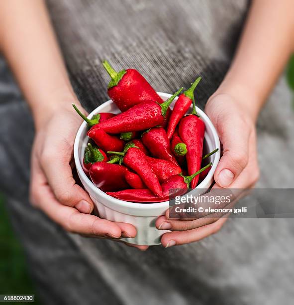 chilipepper - female eating chili bildbanksfoton och bilder