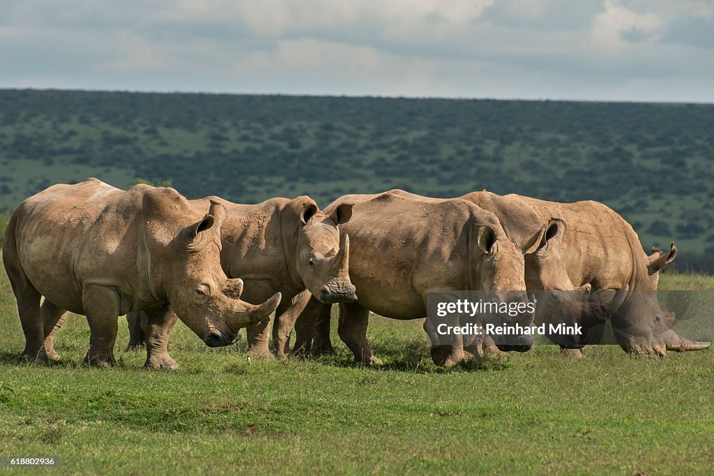 Five times big five