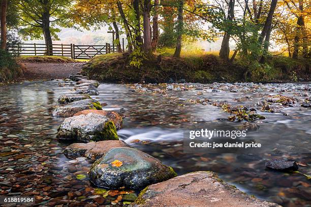 stepping stones, rosthwaite, borrowdale, river derwent, lake district, cumbria, england - derwent river stockfoto's en -beelden