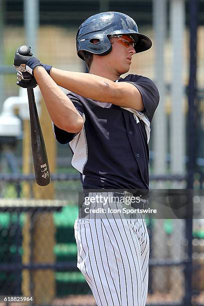 Blake Rutherford Baseball 691 Fil Yankees Photos & High Res Pictures - Getty Images