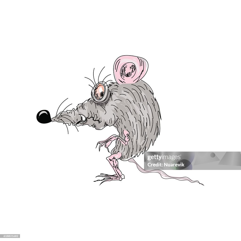 Personaje De Dibujos Animados De Color Ratón De Rata Aislado En Blanco  Ilustración de stock - Getty Images