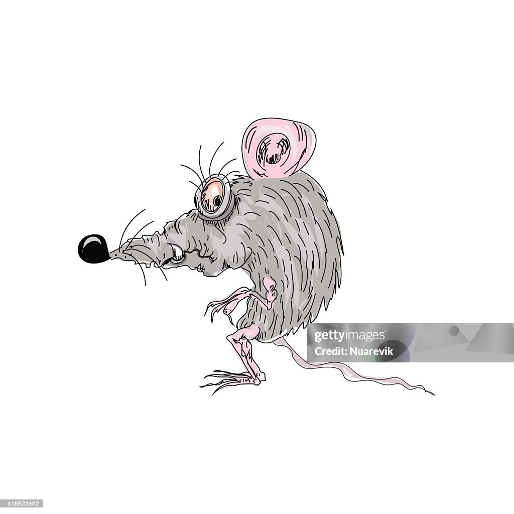 Personaje De Dibujos Animados De Color Ratón De Rata Aislado En Blanco Ilustración de stock - Getty Images Personaje De Dibujos Animados De Color Ratón De Rata Aislado En Blanco Ilustración de stock - Getty Images