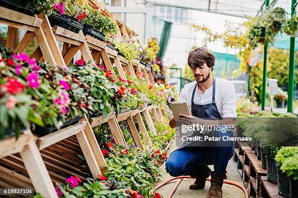 gärtner mit digitalem tablet - gärtnerei stock-fotos und bilder