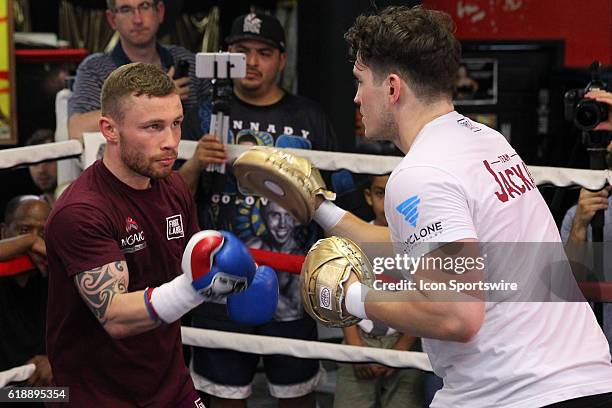 Carl Frampton held a media workout at the world famous Gleasons Gym prior to his July 30th fight against Leo Santa Cruz from the Barclays Center in...