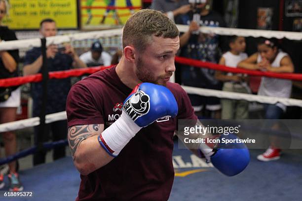 Carl Frampton held a media workout at the world famous Gleasons Gym prior to his July 30th fight against Leo Santa Cruz from the Barclays Center in...