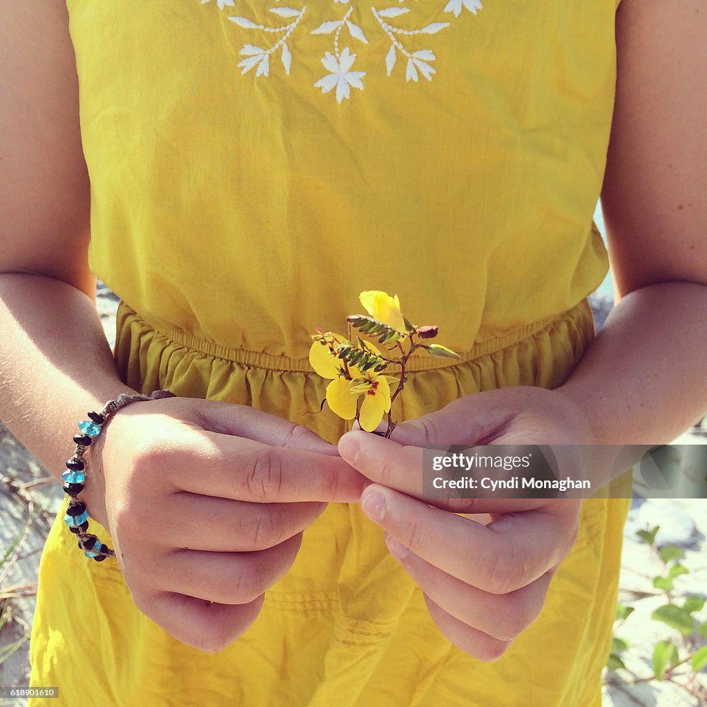 Yellow Beach Flower