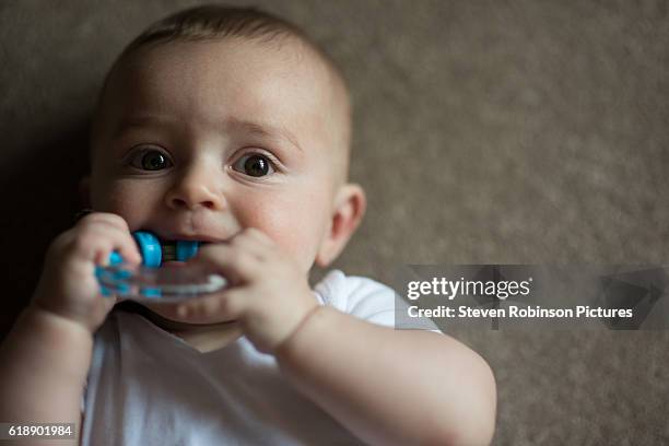 baby teething - gezahnt stock-fotos und bilder