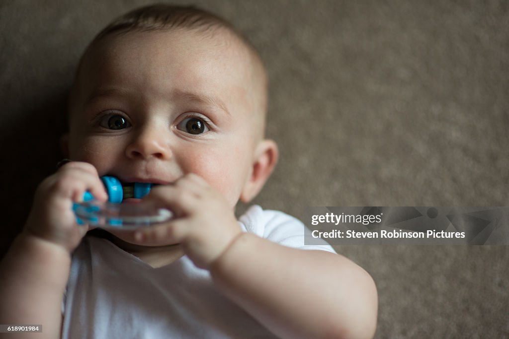 Baby Teething