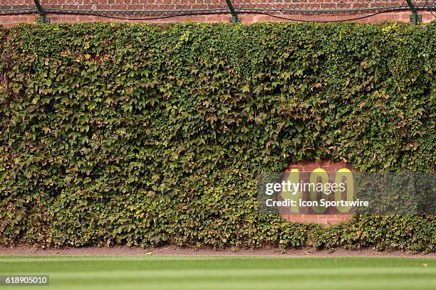 203 Wrigley Field Ivy Stock Photos, High-Res Pictures, and Images