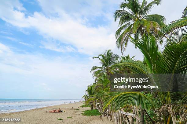 Tourists relax on the sandy beaches at the carribean coast on August 16, 2016 in Palomino, Colombia.