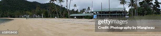 dunk island - cyclone yasi stock pictures, royalty-free photos & images