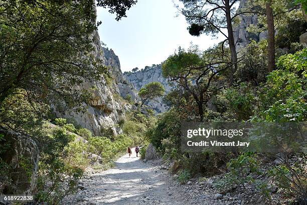 massif des calanques walkway with spare vegetation massif des calanques france europe - calanques stock pictures, royalty-free photos & images