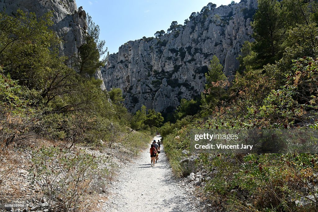 Pedestrian walkway with spare vegetation Massif des Calanques France