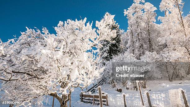 kirchberg in tirol - kirchberg austria stock pictures, royalty-free photos & images