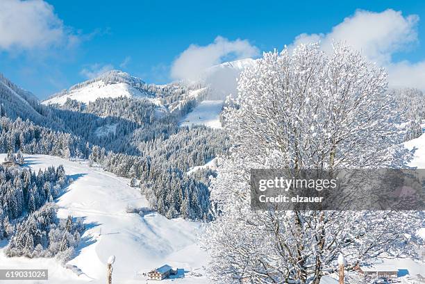 kirchberg in tirol - kirchberg austria stock pictures, royalty-free photos & images