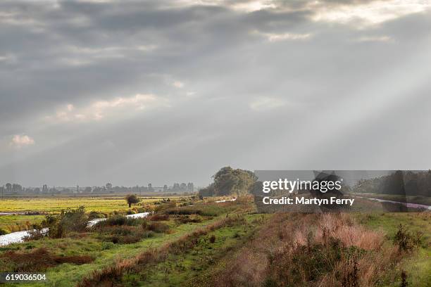 bird hide at ouse washes, the fens, cambridgeshire, east anglia, uk - cambridgeshire stock pictures, royalty-free photos & images