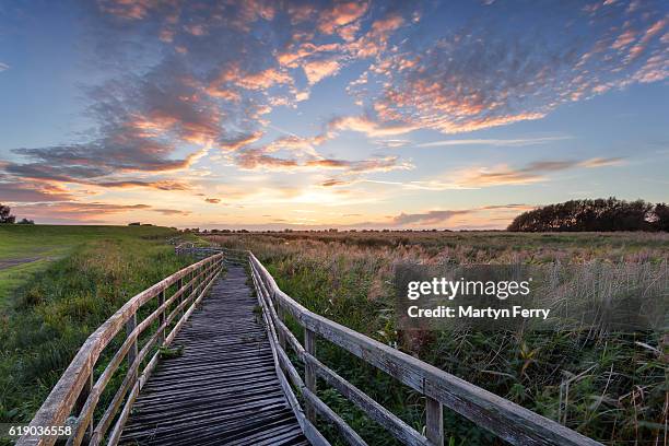 wooden walkway at sunset at ouse washes, the fens, cambridgeshire, east anglia, uk - cambridgeshire fotografías e imágenes de stock