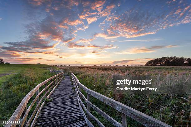 wooden walkway at sunset at ouse washes, the fens, cambridgeshire, east anglia, uk - フェン ストックフォトと画像