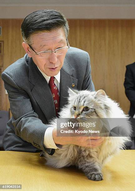 Japan - Akita Gov. Norihisa Satake strokes a Siberian cat given as a gift by Russian President Vladimir Putin at the prefectural office building in...