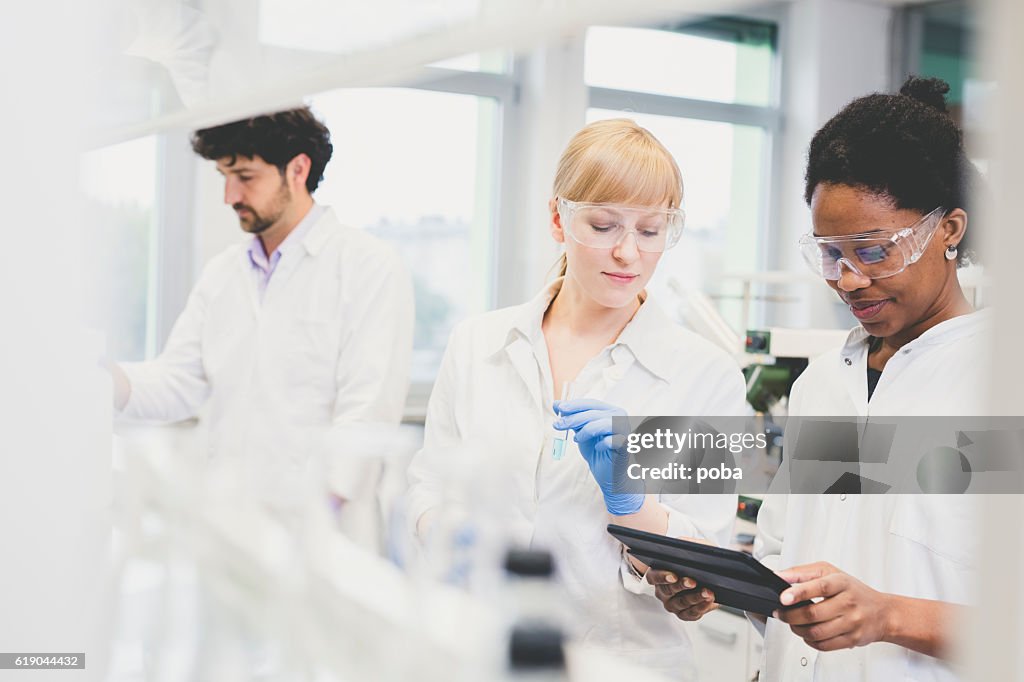 Scientists working together in lab