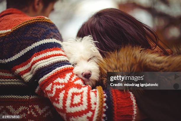 sleeping in park - dog sweater stock pictures, royalty-free photos & images