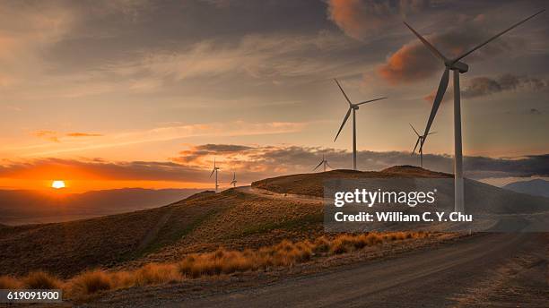 wind farm at new zealand - southland new zealand stock pictures, royalty-free photos & images