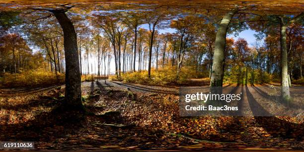 360 degree panorama shot - empty bench in the forest - 360vr stock-fotos und bilder