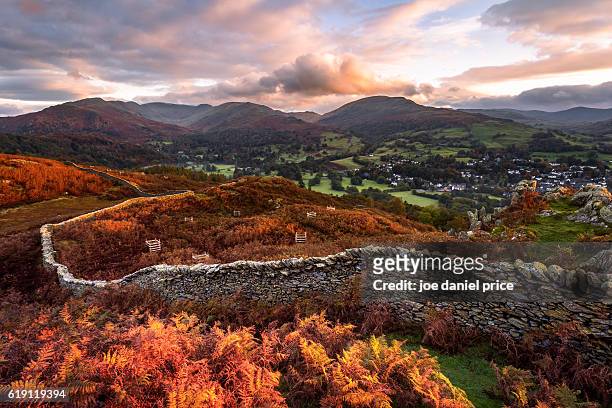 stone wall, loughrigg fell, ambleside, lake district, cumbria, england - loughrigg fell stock pictures, royalty-free photos & images