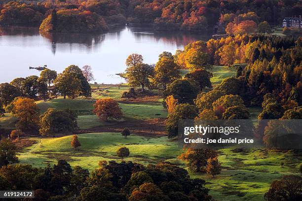 sunrise, windermere, autumn trees, ambleside, lake district, cumbria, england - lago windermere fotografías e imágenes de stock